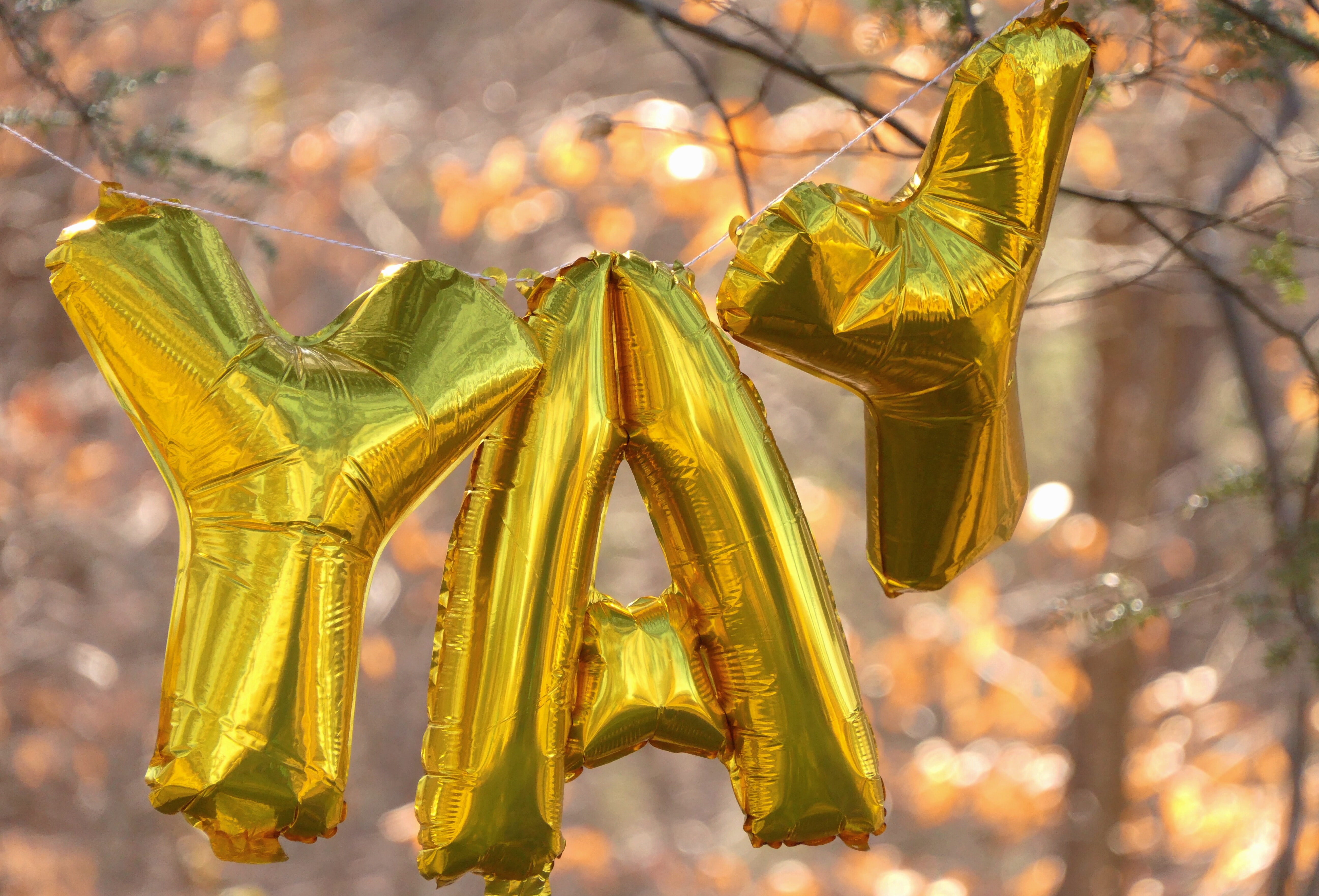 Celebration text